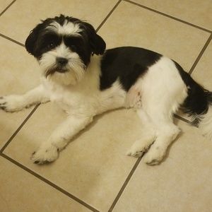 Meet your Posher, Cathy